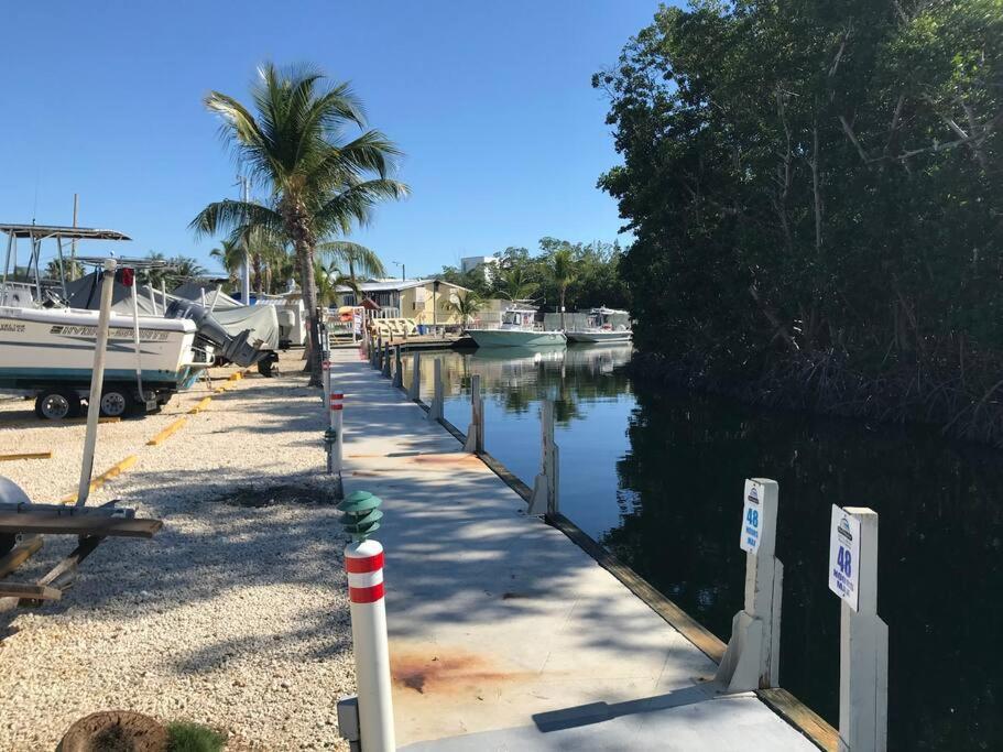 Little Slice Of Heaven Right In Key Largo Lejlighed Eksteriør billede